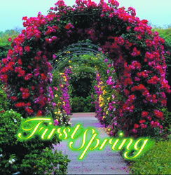 First Spring